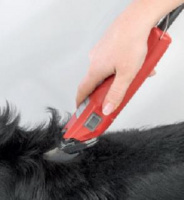 Hund beim scheren_small